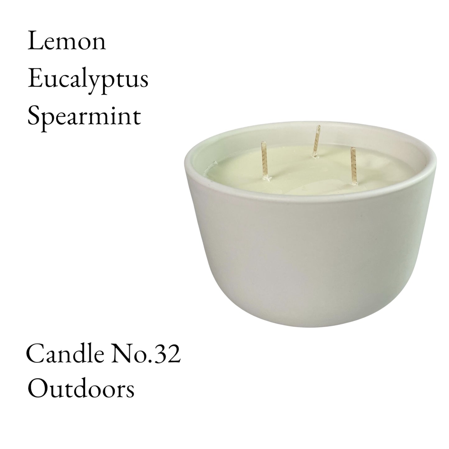 Outdoors Bug Repellent Luxury Soy Candle